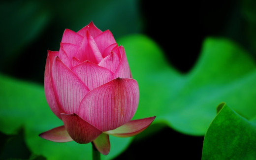 771573 (a): :2560x1600